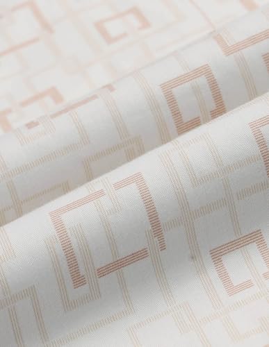 Arrow Beige Formal Shirt_ARAEOSH3080_40