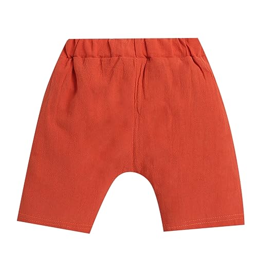 Hopscotch Boys Cotton and Spandex Animal Print Shirt And Shorts Set in White Color For Ages (3-4 Years)