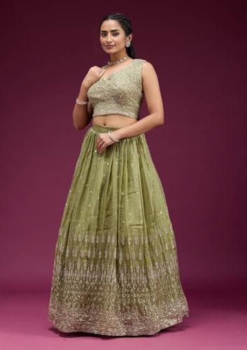 Fab Window Women's Silk Lehenga with Embroidered Unstitched Blouse and Dupatta, Ethnic (Semi Stitched_Free size). (Olive Green)