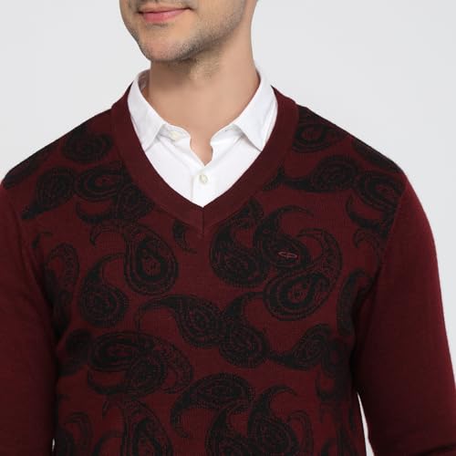 Colorplus Men Regular Fit Jacquard Pattern Merino Wool Acrylic Blend Full Sleeve V Neck Casual Sweater Brown