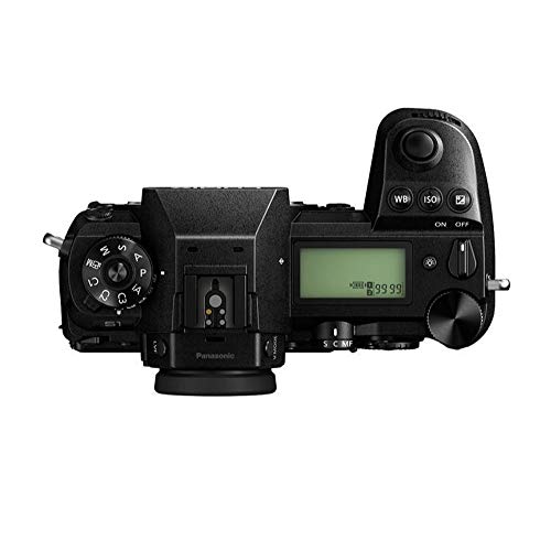Panasonic Lumix DC-S1 Body