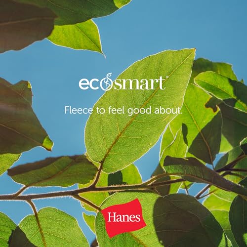 Hanes Men's EcoSmart Fleece Sweatshirt