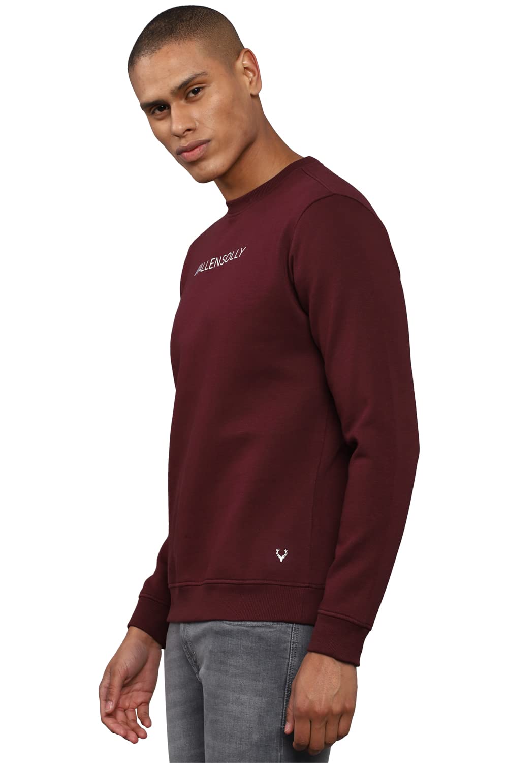 Allen Solly Men Casual Crew Neck, Regular Cotton Sweatshirt Pink