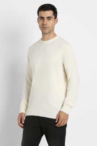 American Eagle Men Empire Cream Crew Neck Sweater