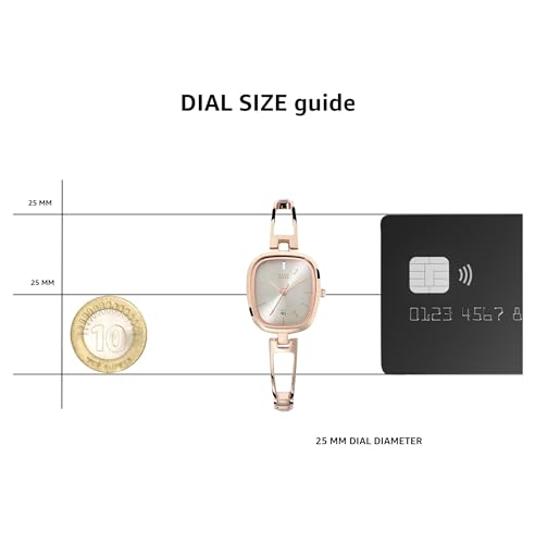 Titan Raga Viva analog Grey Dial Women's Watch NM2604WM01/NN2604WM01/NP2604WM01