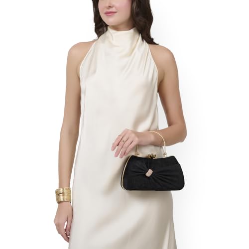 Lavie Women's Sitara Handle Frame Clutch | Ladies Purse | Gift For Women