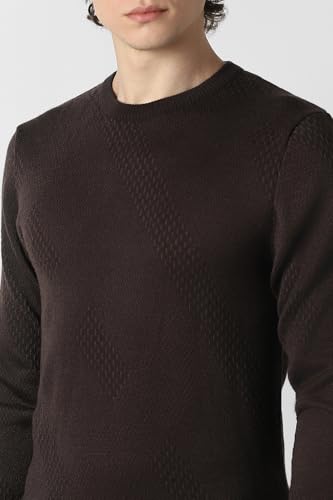 Men Brown Textured Crew Neck Sweater