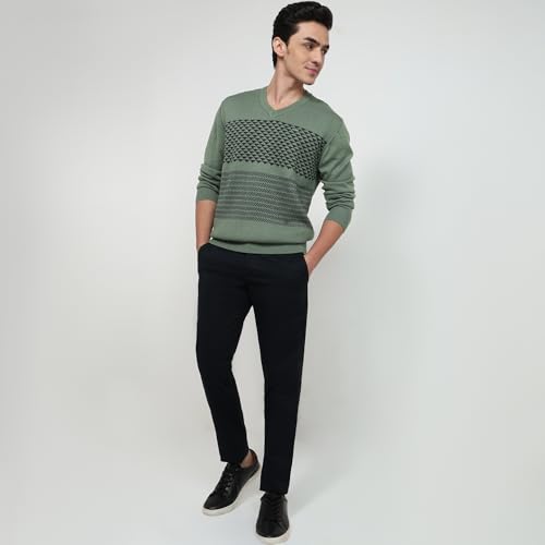 Colorplus Men Regular Fit Jacquard Pattern Merino Wool Acrylic Blend Full Sleeve V Neck Casual Sweater