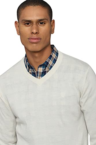 Allen Solly Men Cream Textured Crew Neck Full Sleeves Sweater