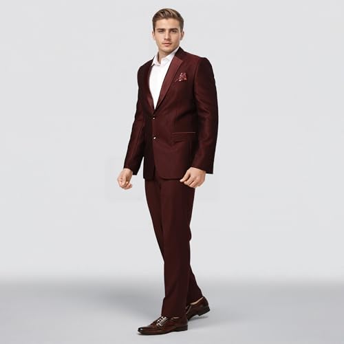 Raymond Ethnix Mens Wine Two-Piece Suit