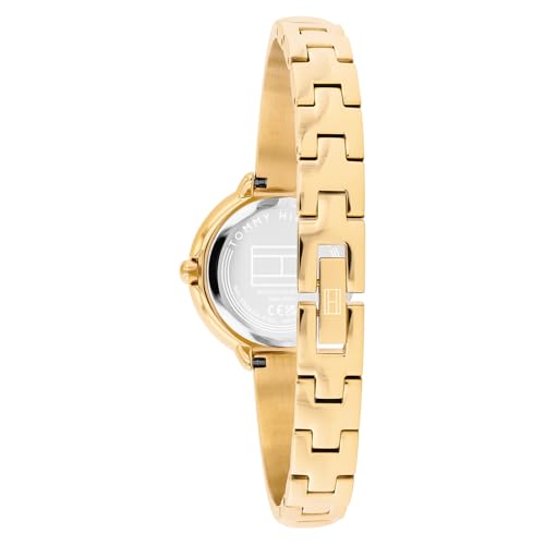 Tommy Hilfiger Demi with Quartz Basic Analog Gold Dial Gold Stainless Steel Strap Watch for Women - TH1782895W