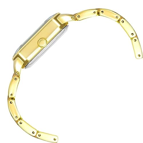 ANNE KLEIN Quartz 30 mm Brown Dial Acrylic Analog Watch for Women