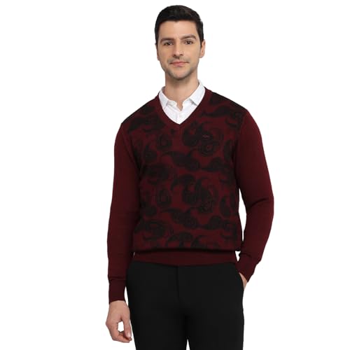 Colorplus Men Regular Fit Jacquard Pattern Merino Wool Acrylic Blend Full Sleeve V Neck Casual Sweater Brown