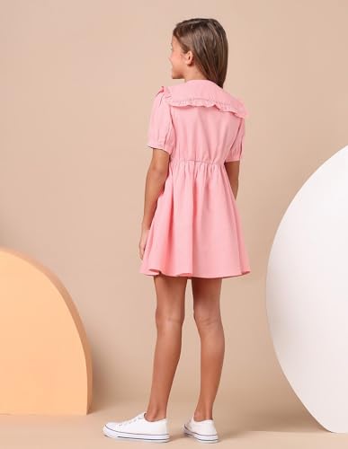 U.S. POLO ASSN. Kids Regular fit Cotton Short Sleeves Round Neck Dresses (UGDRS0425_Pink_13-14Y)