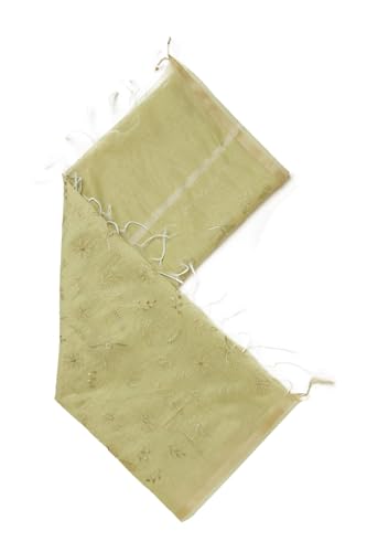 Soch Womens Light Green Polyester Embroidered Dupatta