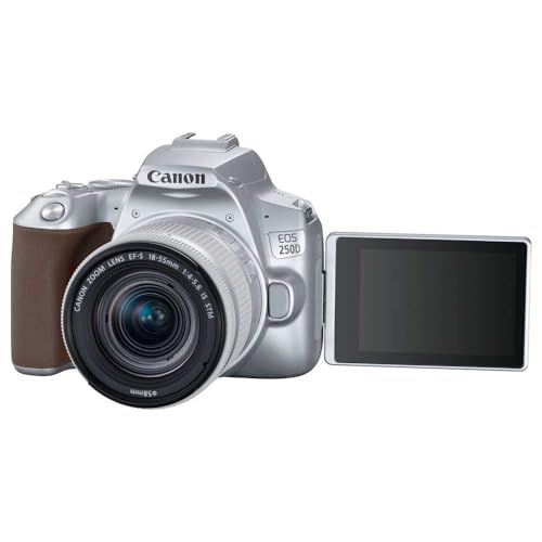 Canon EOS 250D (Rebel SL3) DSLR Camera w/ 18-55mm is STM Lens (Silver) (International Model)
