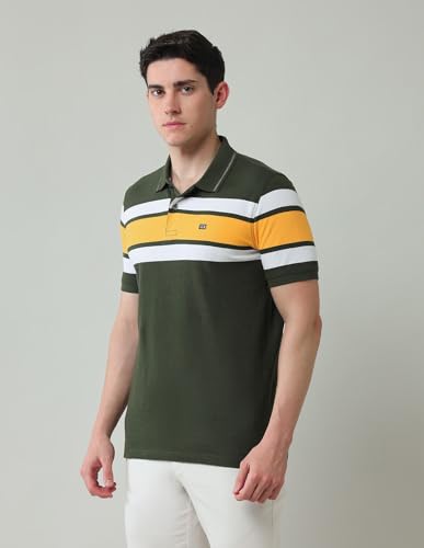 Arrow Sports Men's Striped Regular Fit Polo Shirt (ASAJTS3407_Olive