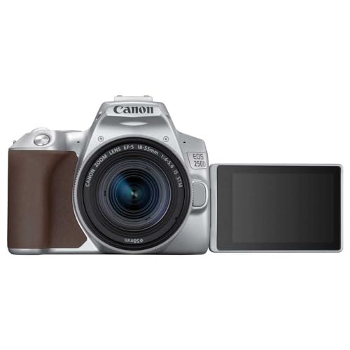 Canon EOS 250D (Rebel SL3) DSLR Camera w/ 18-55mm is STM Lens (Silver) (International Model)