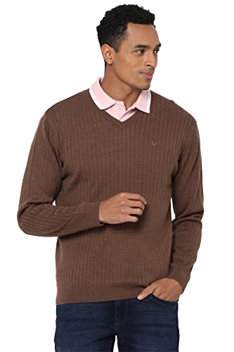 Allen Solly Brown Sweater