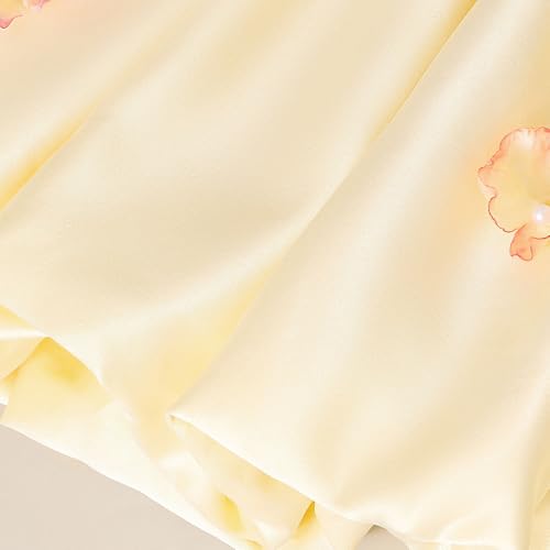 Hopscotch Girls Yellow Sleeveless Butterfly Applique Party Dress for Age (5-6 Years)