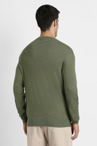 American Eagle Men Green Crew Neck Sweater