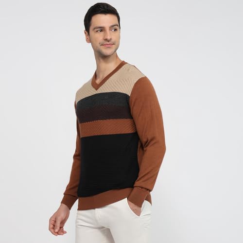 Colorplus Men Regular Fit Jacquard Pattern Merino Wool Acrylic Blend Full Sleeve V Neck Casual Sweater Brown