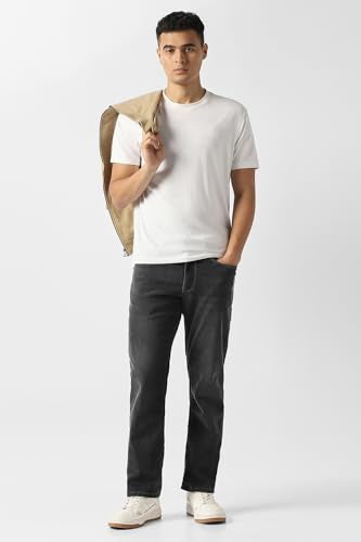 Van Heusen Men's Regular Jeans (VXDNCBTFA42766_Lilac