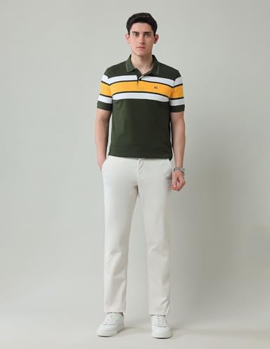 Arrow Sports Men's Striped Regular Fit Polo Shirt (ASAJTS3407_Olive