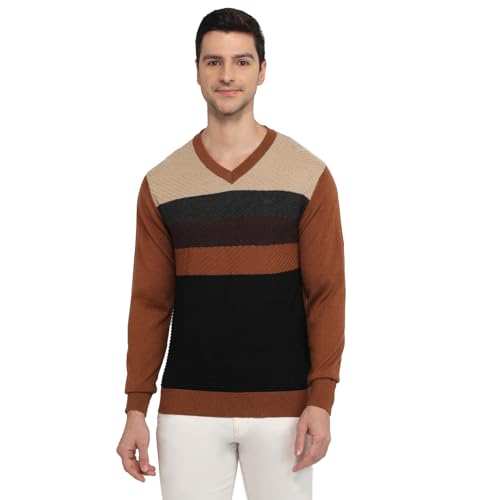 Colorplus Men Regular Fit Jacquard Pattern Merino Wool Acrylic Blend Full Sleeve V Neck Casual Sweater Brown