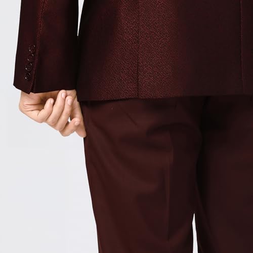 Raymond Ethnix Mens Wine Two-Piece Suit