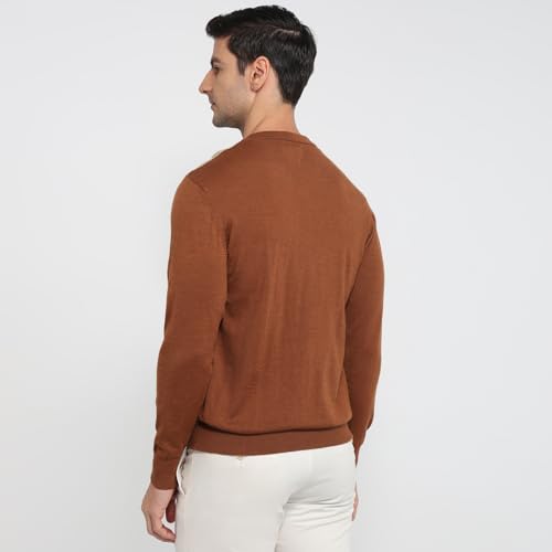 Colorplus Men Regular Fit Jacquard Pattern Merino Wool Acrylic Blend Full Sleeve V Neck Casual Sweater Brown