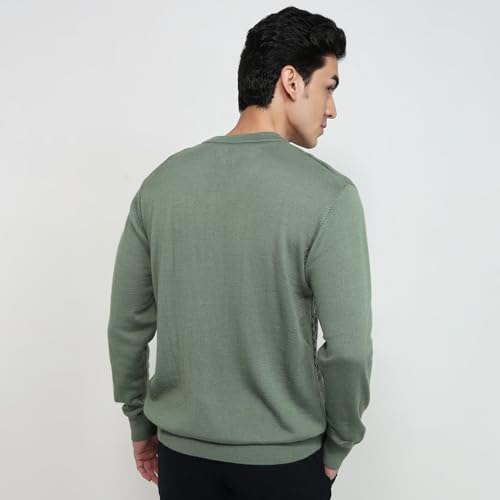 Colorplus Men Regular Fit Jacquard Pattern Merino Wool Acrylic Blend Full Sleeve V Neck Casual Sweater