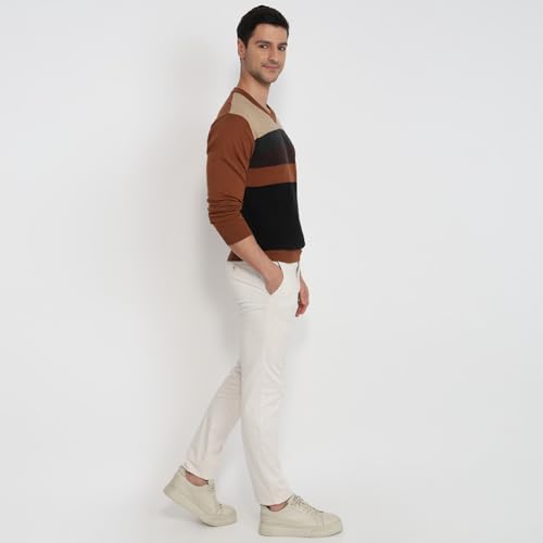 Colorplus Men Regular Fit Jacquard Pattern Merino Wool Acrylic Blend Full Sleeve V Neck Casual Sweater Brown