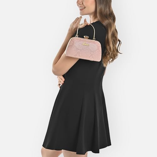 Lavie Women's Twink Framed Clutch | Ladies purse |Gift For Women