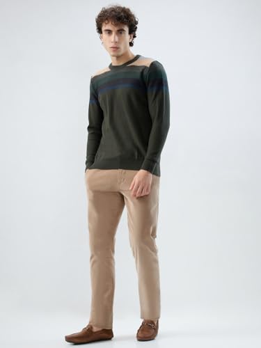 Raymond Men Regular Fit Stripe Pattern Merino Wool Acrylic Blend Full Sleeve Round Neck Casual Sweater Green
