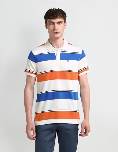 Arrow Sports Men's Striped Regular Fit Polo Shirt (ASAEOTS5297_Multi