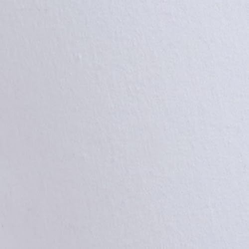 Pepe Jeans Women's Skinny Jeans (PL204991P578_White