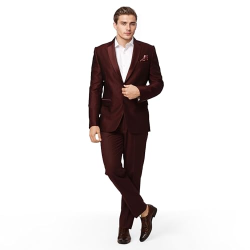 Raymond Ethnix Mens Wine Two-Piece Suit