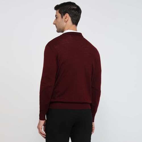 Colorplus Men Regular Fit Jacquard Pattern Merino Wool Acrylic Blend Full Sleeve V Neck Casual Sweater Brown