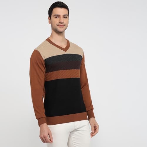 Colorplus Men Regular Fit Jacquard Pattern Merino Wool Acrylic Blend Full Sleeve V Neck Casual Sweater Brown
