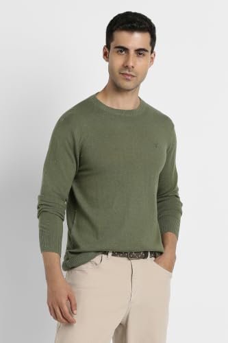 American Eagle Men Green Crew Neck Sweater