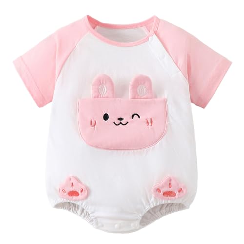 Hopscotch Bunny Applique Raglan Sleeves Onesie (12-18 Months)
