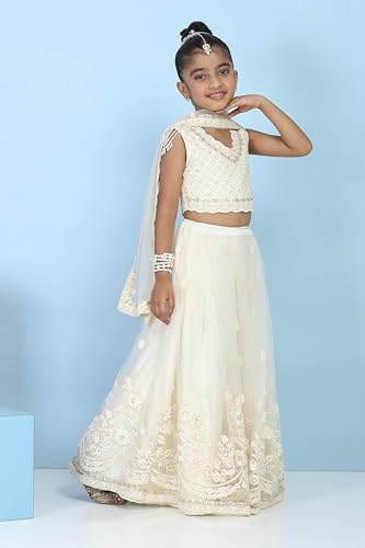 Biba Girls Neutral Butterfly Net Embroidered Regular Lehenga Set_14-15Y