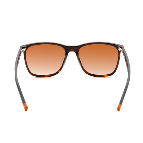 FILA 100% UV protected Solid Polarized sunglasses for Men with Havana Acetate frame and Brown colored Lens
