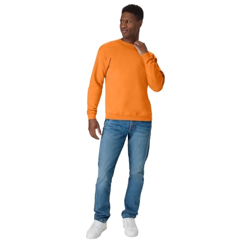 Hanes Men's EcoSmart Fleece Sweatshirt