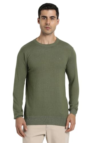 American Eagle Men Green Crew Neck Sweater