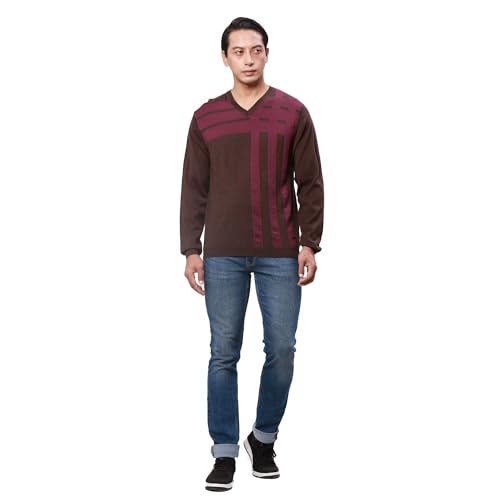 Park Avenue Men's Regular Fit Acrylic Wool Blend Full Sleeve V Neck Checks Pattern Dark Brown Casual Sweater (Size: S)-PCWA00267-O8