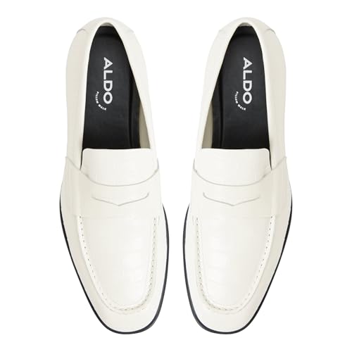 Aldo KEIFERA Men's Multicolor Formal Shoes