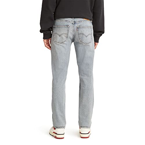 Levi's Men's 511 Slim Fit Jeans, (New) Everyday Authentic, 30W x 30L