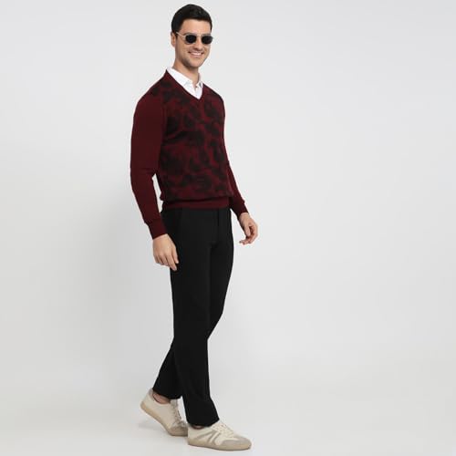Colorplus Men Regular Fit Jacquard Pattern Merino Wool Acrylic Blend Full Sleeve V Neck Casual Sweater Brown